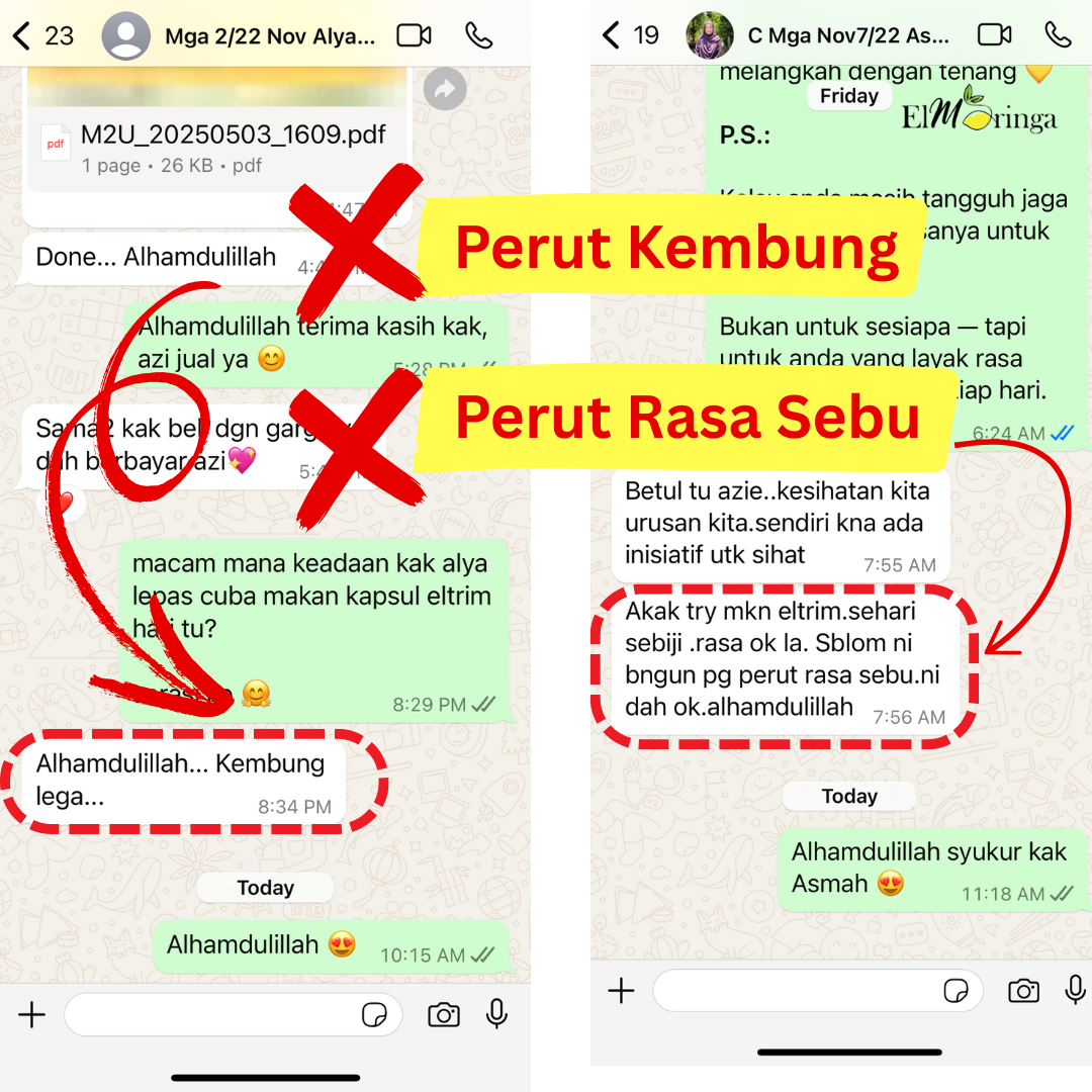 Screenshot WhatsApp Puan Alya & Kak Asmah